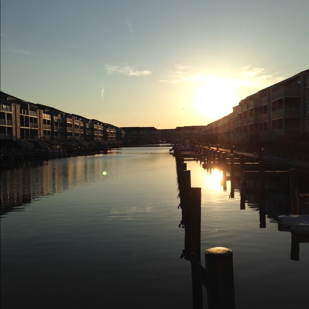 Meet your Posher, Liz!